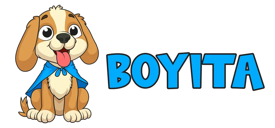 Boyita logo (mascot + wordmark)